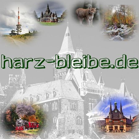 Harz-Bleibe Wernigerode 아파트 외부 사진