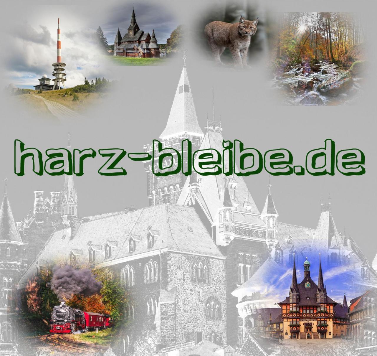 Harz-Bleibe Wernigerode 아파트 외부 사진